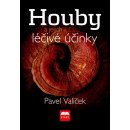 Houby a jejich léčivé účinky