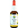 Salvia Paradise Rozchodnice růžová - Rhodiola AF tinktura 30 ml