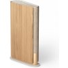 BANG & OLUFSEN Beosound Emerge GOLD/OAK