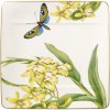 Amazonia - Šalátový tanier 23x23cm - Villeroy & Boch