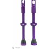 Peaty´s Chris King MK 2 Tubeless Valves