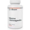 GymBeam Tribulus + Ashwagandha 90 kapslí