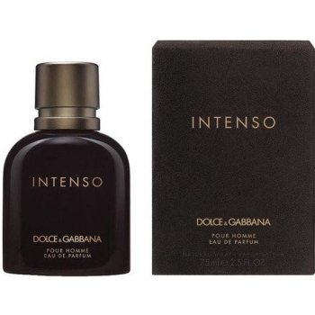 Dolce & Gabbana Intenso parfumovaná voda pánska 75 ml