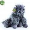 Rappa Plyšová kočka BRITSKÁ sedící - 30 cm - ECO-FRIENDLY