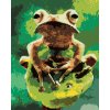 Diamondi Diamantové maľovanie - ŽABA V LESE Rámovanie: bez rámu a bez vypnutia plátna, Rozmer: 40x50 cm