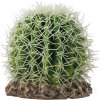 HOBBY Kaktus Sonora M 15x15x13cm