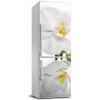 Nálepka fototapeta chladnička Biela orchidea 60x180 cm