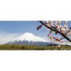 Panoramatická fototapeta - PA4389 - Sopka Fudži 250cm x 104cm - Vliesová fototapeta