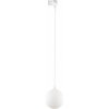 TK Lighting | Luster na lanku do lištového systému TRACER 1xG9/8W/230V biela | TK4886