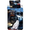 JERRY FABRICS Obliečky Harry Potter Hogwarts Express Bavlna, 140/200, 70/90 cm