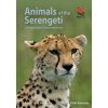 Animals of the Serengeti (Adam Scott Kennedy)(Brožovaná)