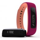 iFit Vue