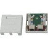 DATACOM STP dvojzásuvka na omietku Cat5e 2 x RJ45 - Datacom STP 2316