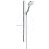 Hansgrohe Raindance 27648400