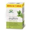 TOPNATUR PSYLLIUM VLÁKNINA PLV 250G + 50G ZADARMO (300 G)