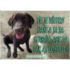 Pozorpes.sk, výstražná tabuľka (Hnedý labrador retríver)