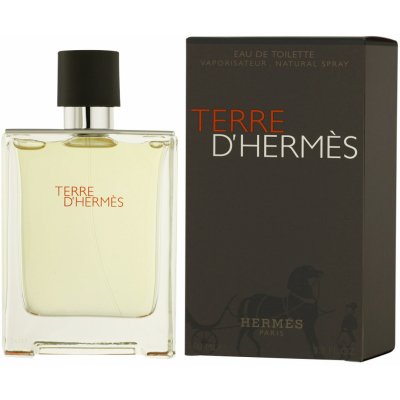 Hermès Terre D'Hermès toaletná voda pánska 100 ml