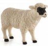 Animal Planet Ovca Hampshire
