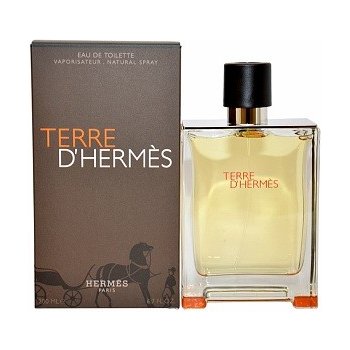 Hermès Terre D'Hermès toaletná voda pánska 100 ml