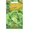 Šalát hlávkový na rýchlenie SMARAGD S