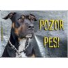 Pozorpes.sk, výstražná tabuľka (Saffordšírsky teriér)