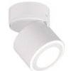 LED stropné osvetlenie Trio Taurus biela 652910131