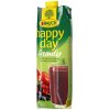 Džús Happy Day Family Multivitamín red fruit 1 ℓ