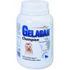Orling Gelacan Champion psi barevná plemena 150 g