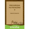 E-kniha Prechádzka po Patagónii II - Martin Kukučín