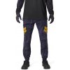 Bike nohavice Fox Ranger Pant Image Print plum 32 25/26 - Odosielame do 24 hodín