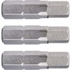 FORTUM hrot imbus sada 3ks, H 5,5 x 25 mm, S2 4741507