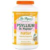 Dr.Popov PSYLLIUM NATUR 240 kapsúl