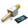 Technaxx bluetooth karaoke mikrofon se stereo reproduktorem (BT-X31)