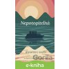 E-kniha Nepotopiteľná - Jennifer E. Smith