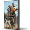 Mount and Blade 2 Bannerlord