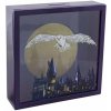 Pokladnička Harry Potter: Hedwig Frame pokladnička (PP10384HP)