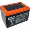 GOOWEI ENERGY Pb trakční záložní akumulátor VRLA GEL 12V/15Ah (6-DZM-12)