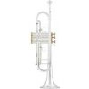 ARNOLDS&SONS Arnolds & Sons Bb-Trúbka ATR-5200GSG