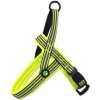 ACTIVE DOG postroj Neoprene