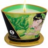 Masážna sviečka s vôňou zeleného čaju Green Tea Massage Candle 170 ml Shunga