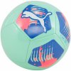 Lopta PUMA PUMA BIG CAT BALL 08421413 – Zelená