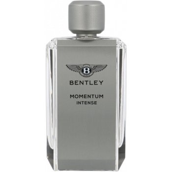 BENTLEY Momentum Intense parfumovaná voda pánska 100 ml