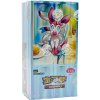 Pokémon TCG - Gem Pack Vol. 2 - Booster Box - (Čínsky)