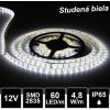 LEDprodukt LED pásik 60LED/m vodeodolný SMD2835 4,8W/m studená biela IP65 12V