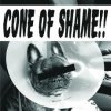 Faith No More - Cone Of Shame / Vinyl / SP / Clear [SP]