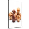 Vertikálny foto obraz na plátne do obývačky Bábovky 50x100 cm