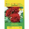 Topoľovka Chaters Double Red 'Alcea rosea' kvetinové semená FloraSelf