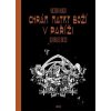 Chrám Matky boží v Paříži - Georges Bess