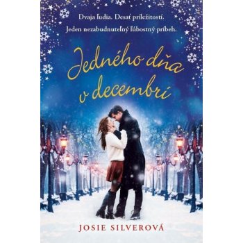 Jedného dňa v decembri - Josie Silver