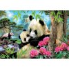 EDUCA Puzzle Panda s mláďaťom 1000 dielikov